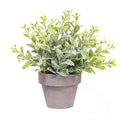 Icy Gatehouse Pot #2 7" (Pack of 4)