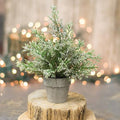 Potted Icy Cedar 8.5"  (Pack of 4)