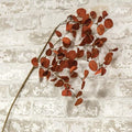 Penny Leaf Spray Red 34" (Pack of 4)