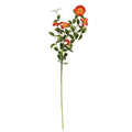 Windflower Spray 34" Orange (Pack of 4)