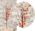 Bittersweet Pick 20" (Pack of 4)