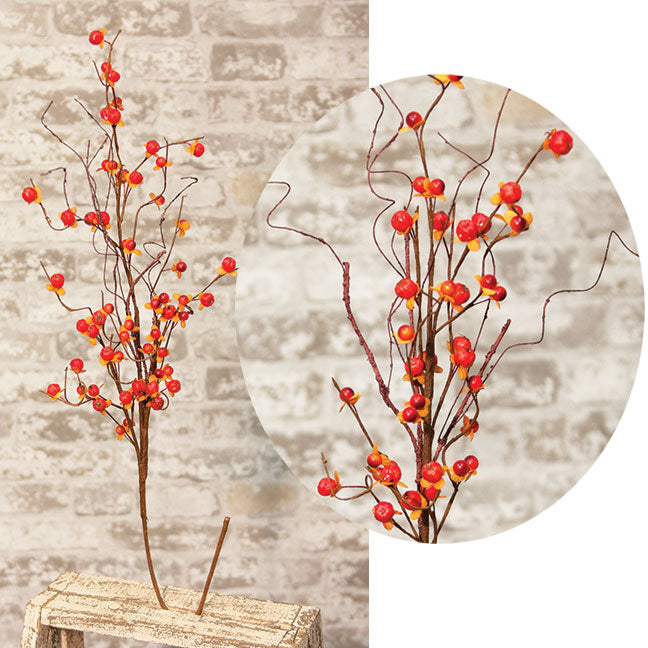 Bittersweet Spray 31" (Pack of 4)