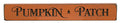 Pumpkin Patch Engraved Block Orange 12" (Pack of 4)