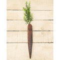 Lath Carrot 20"  (Pack of 4)