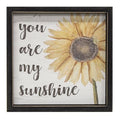 You Are My Sunshine Frame