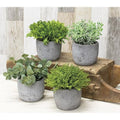Potted Artificial Greenery 4 Asstd. (Pack of 2)