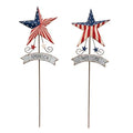 Americana Star Yard Stake 20" 2 Asstd. (Pack of 2)