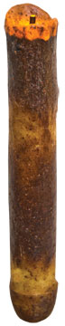 6" Burnt Ivory Drip Timer Taper (Pack of 4)