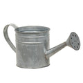Natural Zinc Watering Can (Pack of 4)
