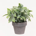 Icy Gatehouse Pot #3 6" (Pack of 4)