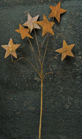 Rusty Star Pick - 12" (Pack of 4)