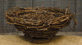 Bird Nest - 7"  (Pack of 4)