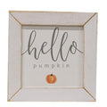 Hello Pumpkin Print White Wash Frame (Pack of 2)