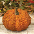 Hallows Pumpkin 3" (Pack of 4)