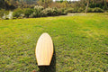 Long Board