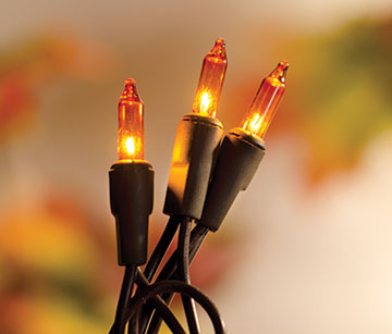 Amber Light Set 20 ct. (Pack of 4)