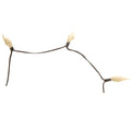 Buttermilk Silicone Teeny Lights 35ct
