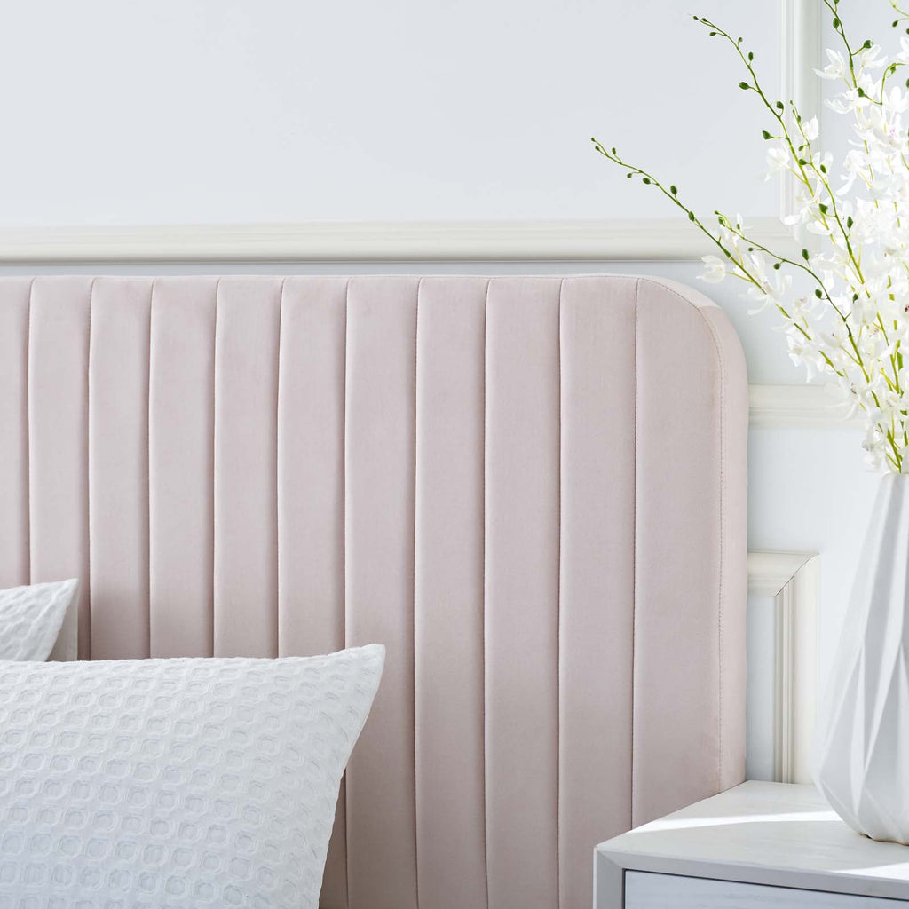 Celine Channel Tufted Performance Velvet Twin Platform Bed by Modway