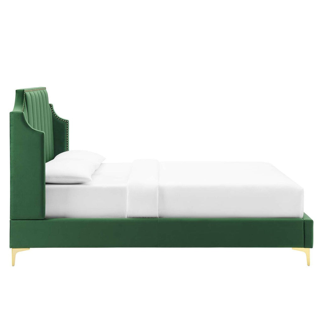 Daniella Performance Velvet Queen Platform Bed by Modway