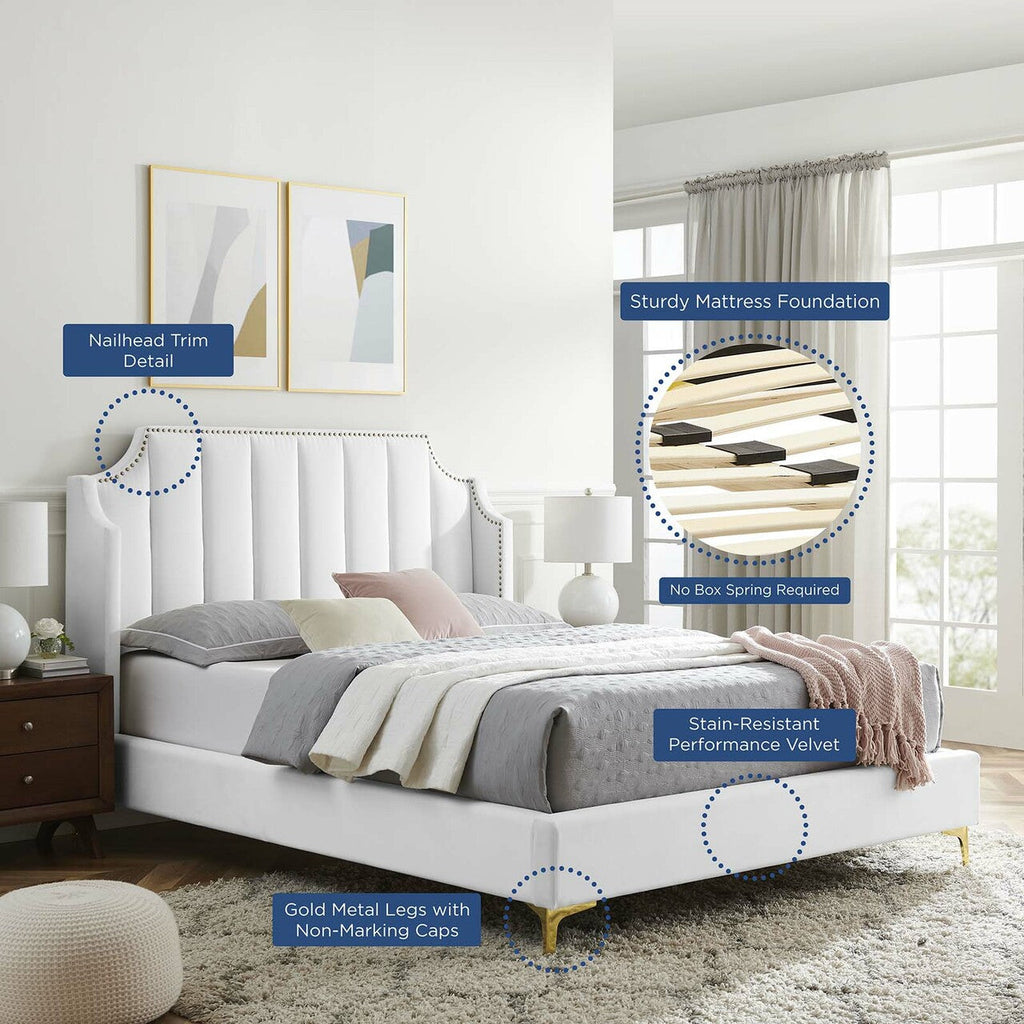 Daniella Performance Velvet Queen Platform Bed by Modway