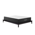Aveline 12" Memory Foam Full Mattress by Modway