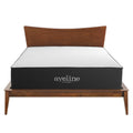 Aveline 14" Memory Foam Queen Mattress by Modway