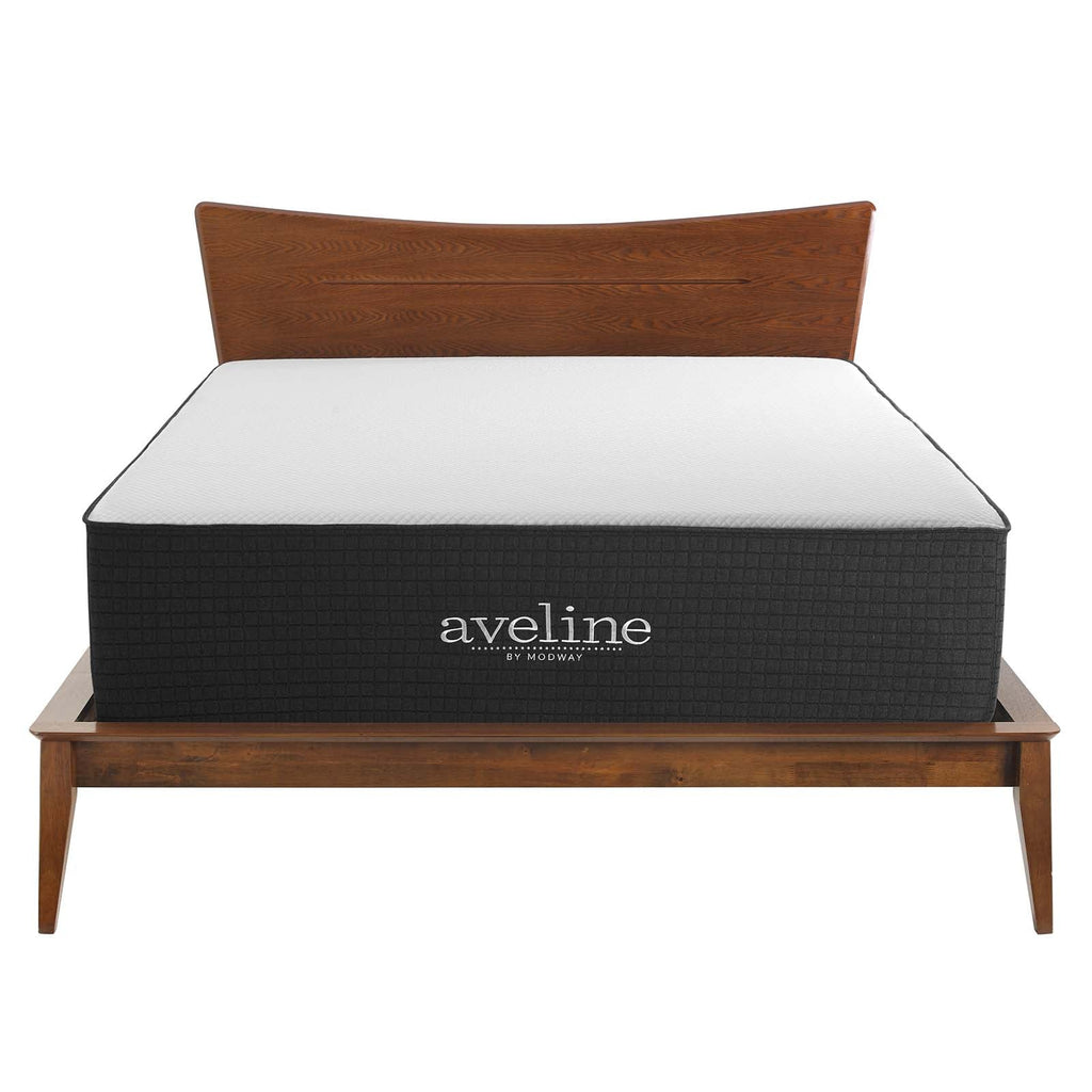 Aveline 16" Memory Foam Full Mattress by Modway