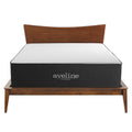Aveline 16" Memory Foam Full Mattress by Modway