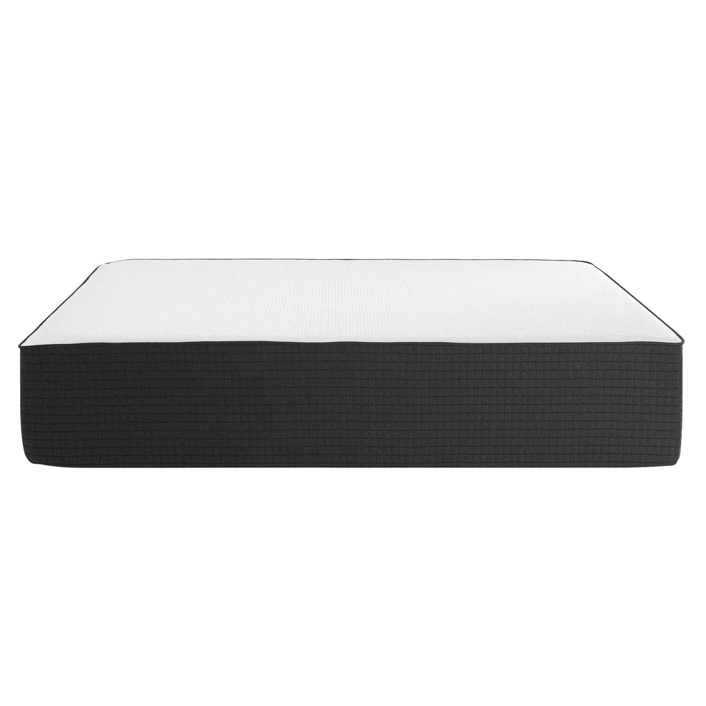 Aveline 16" Memory Foam Full Mattress by Modway
