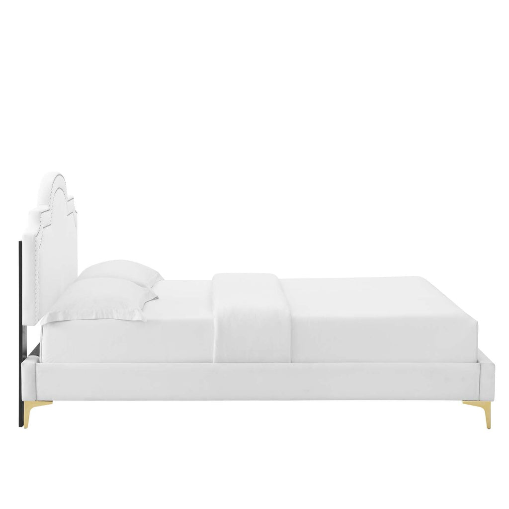 Aviana Performance Velvet King Bed by Modway
