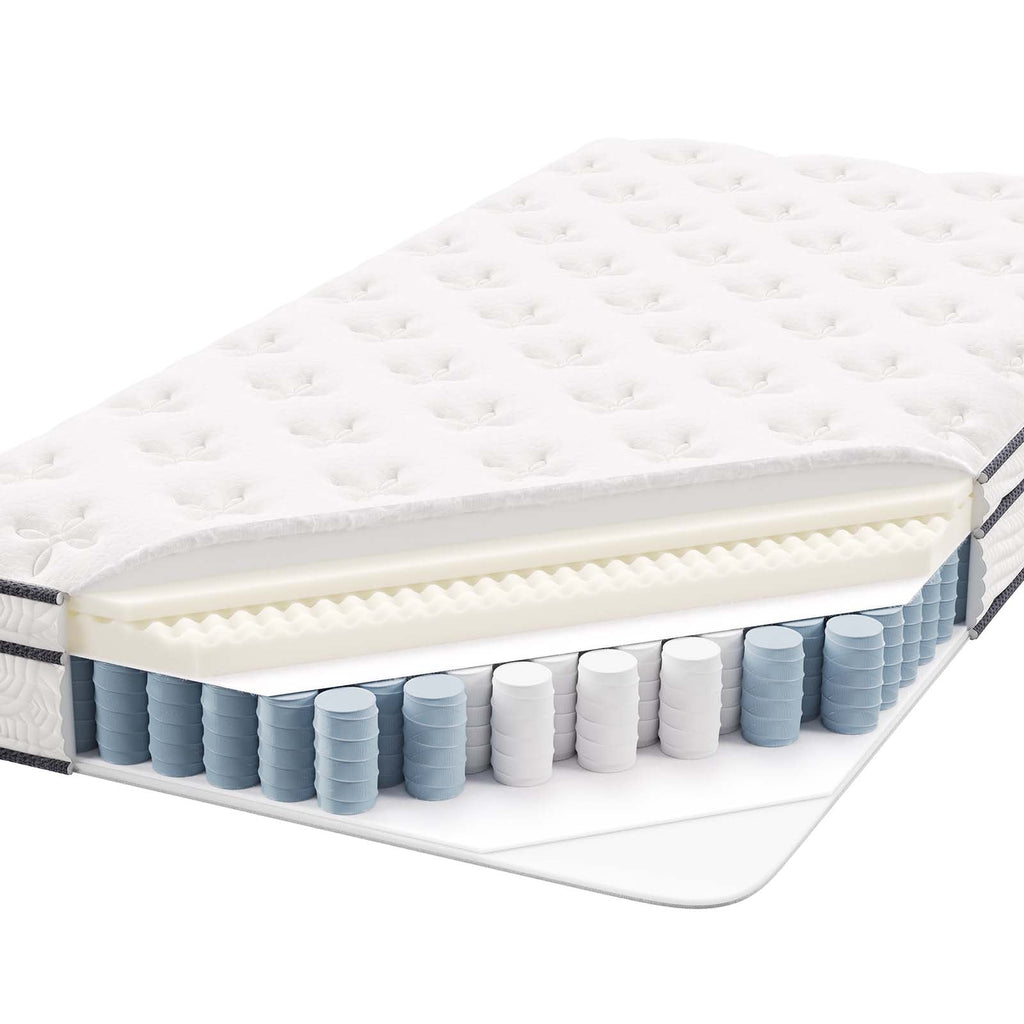Jenna 6" Innerspring and Foam Twin Mattress by Modway