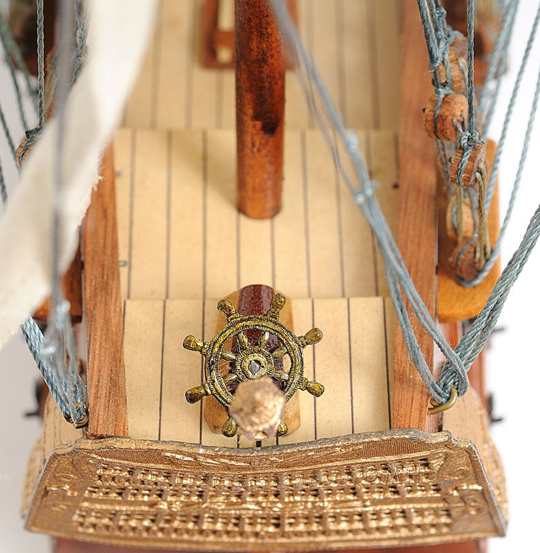 HMS Victory Small with Display Case