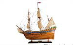 Mayflower High Quality