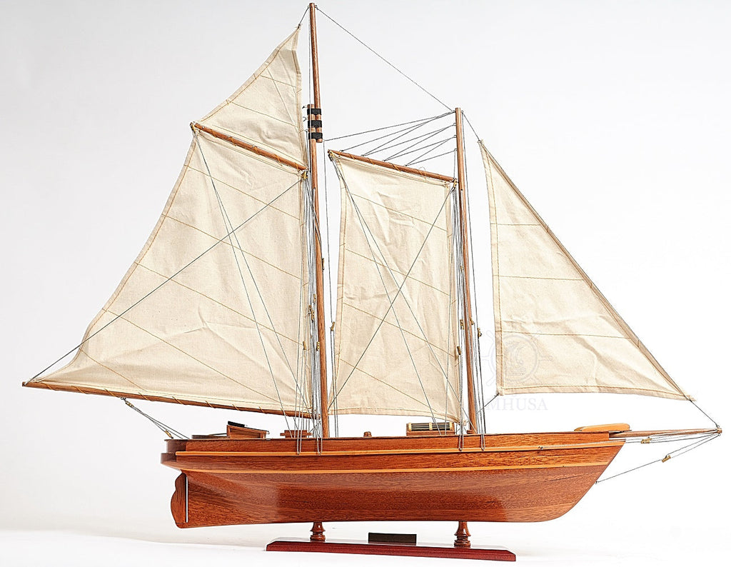 America Cup Racing Yacht Fully Assembled Model