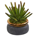 10" Cactus Artificial Plant in Black Planter with Bronze Rim