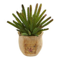 10" Cactus Succulent Artificial Plant in Decorative Planter