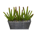10" Cactus Succulent Artificial Plant in Embossed Tin Planter