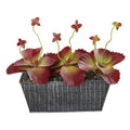 10" Succulent Artificial Plant in Embossed Tin Planter