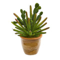 11" Cactus Artificial Plant in Ceramic Planter