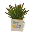 11" Cactus Artificial Plant in “New Baby" Planter