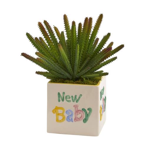 11" Cactus Artificial Plant in “New Baby" Planter