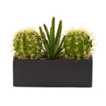 11" Cactus Succulent Artificial Plant in Black Planter