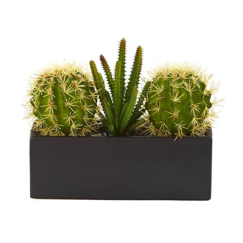 11" Cactus Succulent Artificial Plant in Black Planter