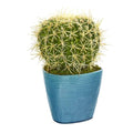 11" Cactus Succulent Artificial Plant in Blue Planter