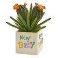 11" Cactus Succulent Artificial Plant in “New Baby" Planter