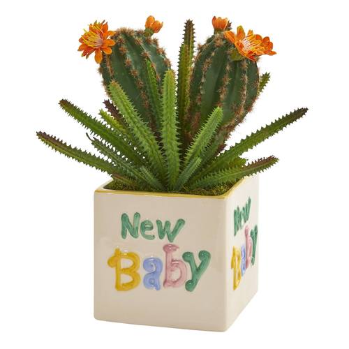 11" Cactus Succulent Artificial Plant in “New Baby" Planter