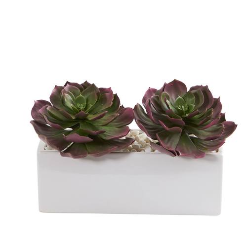 11" Echeveria Succulent Artificial Plant in White Planter