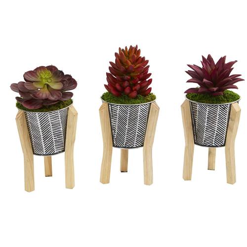 11" Mixed Succulent Artificial Plant in Tin Planter with Legs (Set of 3)