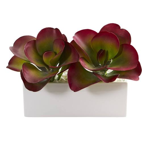 11" Succulent Artificial Plant in White Planter
