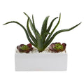 12" Aloe and Echeveria Succulent Artificial Plant in White Planter